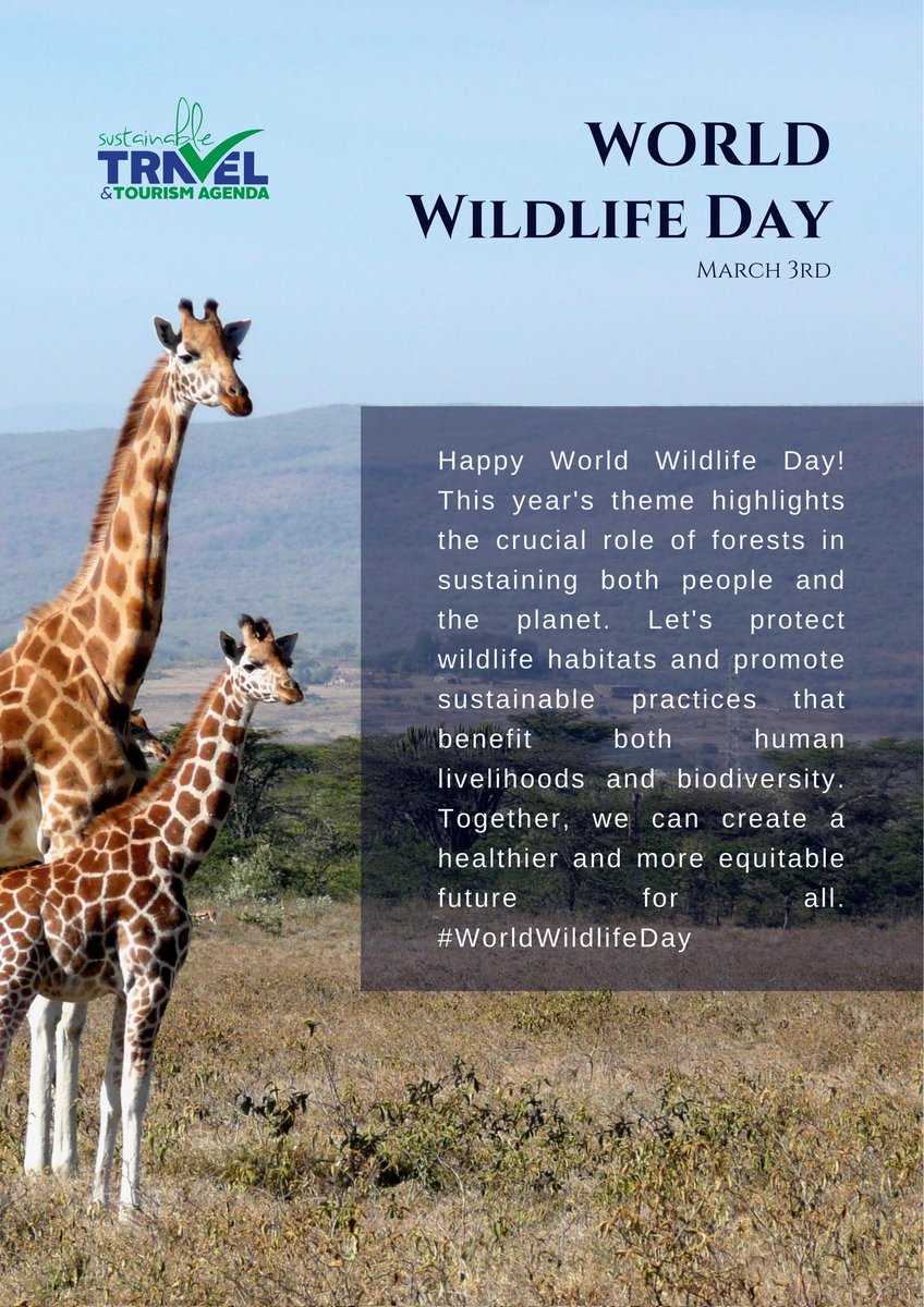 STTAKenya's tweet photo. Happy World Wildlife Day! 
This year's theme highlights the crucial role of forests in sustaining both people and the planet. 
Let's protect wildlife habitats and promote sustainable practices that benefit both human livelihoods and biodiversity.  #WorldWildlifeDay https://t.co/xUuwtwvv0q