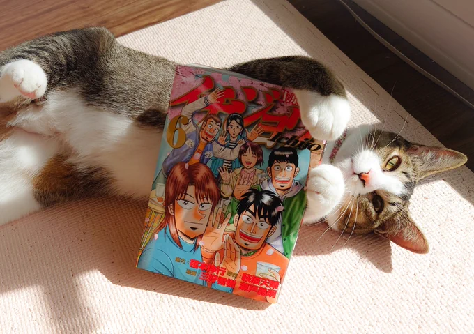 3/6発売となる、イチジョウ最終巻の献本いただきました。イチジョウ未読の方も1巻からイッキ見してみては如何でしょうか?全6巻とお求めやすい巻数です!宜しくお願いします‥‥! 