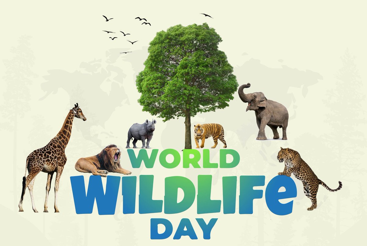 Together, we can safeguard the survival of all species and build a world in which people and animals live in peace.

#DiscoveryChannelIndia #DiscoveryChannelIn #AnimalPlanetIndia #AnimalPlanet #AnimalPlanetIn #WildLife #WorldWildLifeDay #Wildlifeday