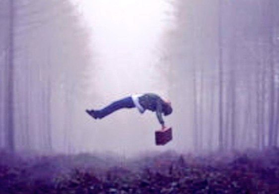 Dana Ataya MD tweet media