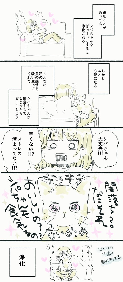 シパちゃん日記 