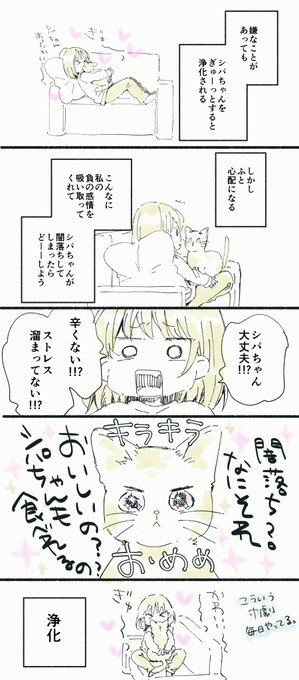 シパちゃん日記 