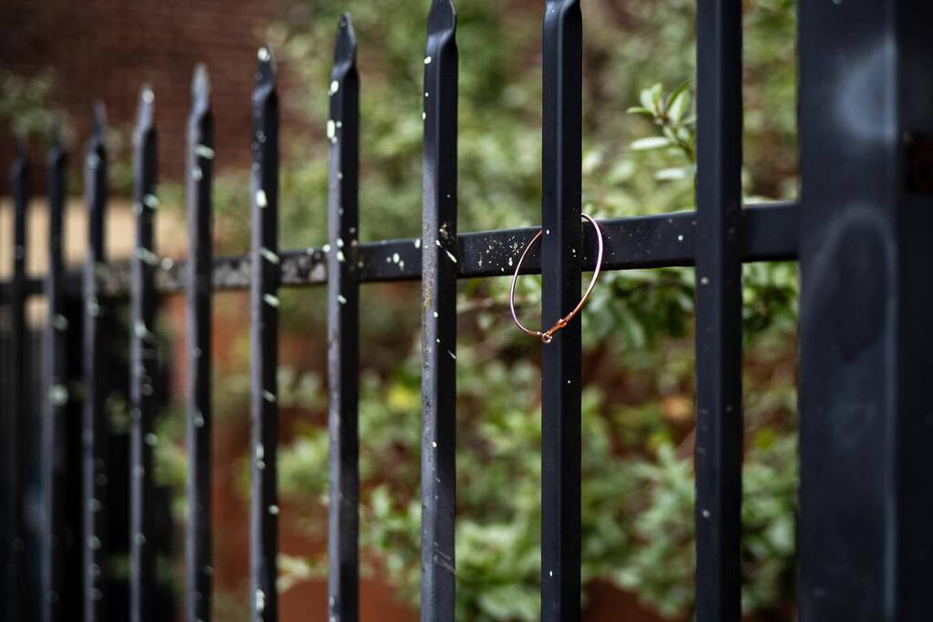 stirwise's tweet photo. Lost and found
.
.
#hoopearrings #found #streetdecor #streetphotography #seattlestreet #leicam #leicam10 #konica #mhexanon https://t.co/vxtg5RMdXk