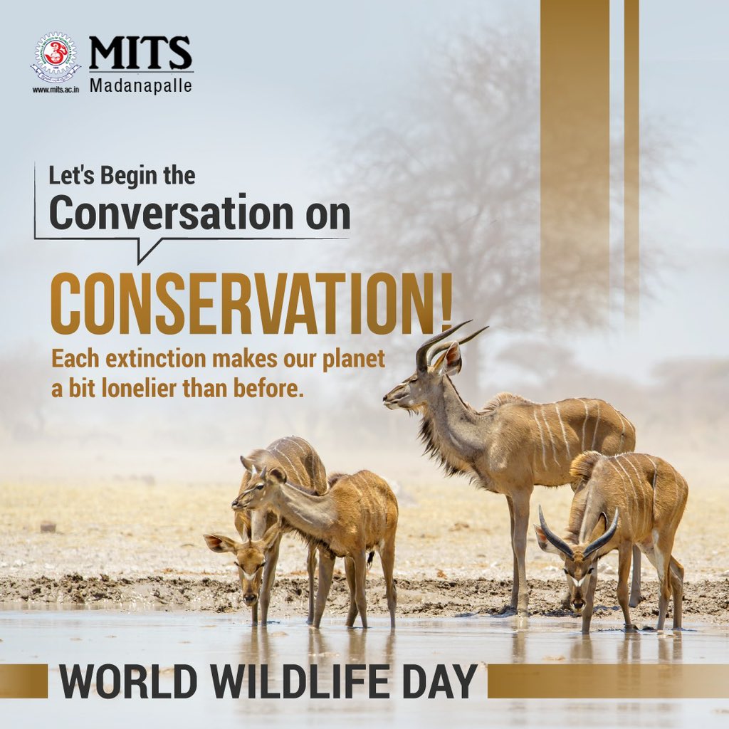MITS_College's tweet photo. The time to have the conversation to begin conservation is now. Let us all pledge to play our part in protecting our planet's diverse and magnificent wildlife.
#worldwildlifeday #mits #wildlife #saveanimanls #conservation https://t.co/wrZSZW1fS4
