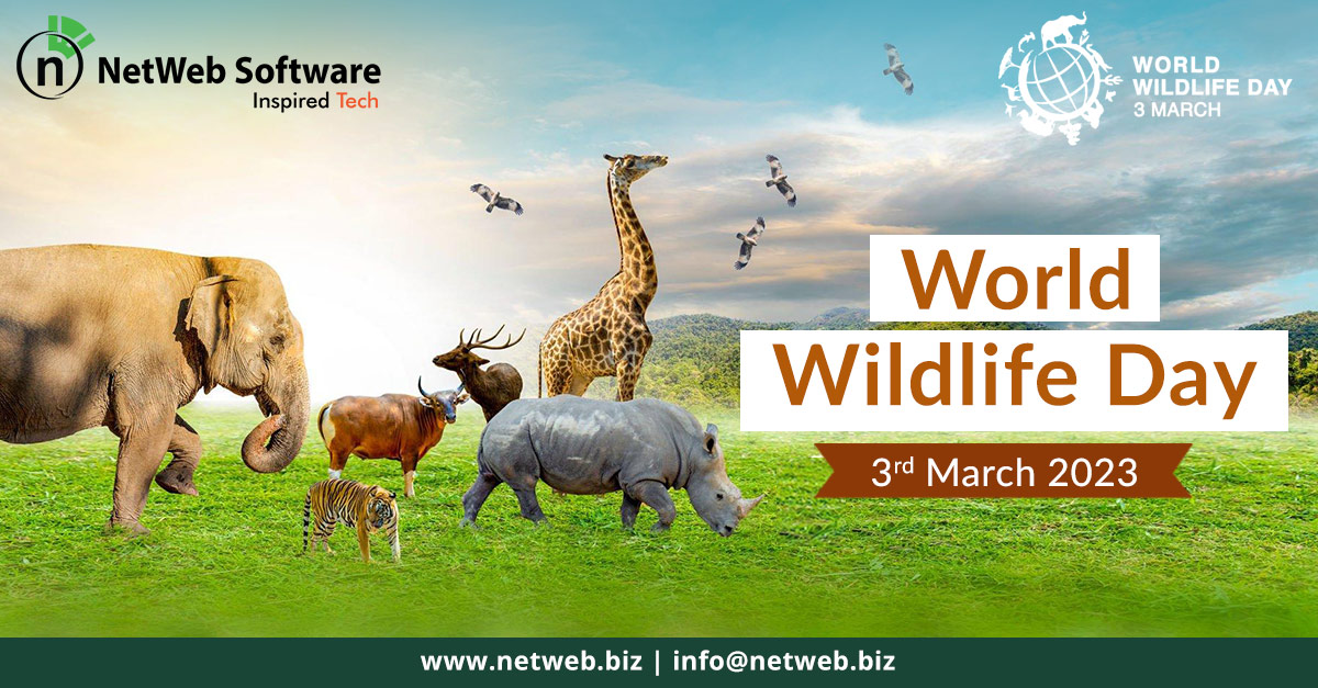 netwebsoftware's tweet photo. As this year’s theme “Partnerships for Wildlife Conservation” suggests, let us all get together in saving the precious wild life. Happy World Wildlife Day!
#WorldWildlifeDay #2023 #InspiredTech #NetWebCares #NetWebSoftware #NetWeb https://t.co/uxAmWrjgzE