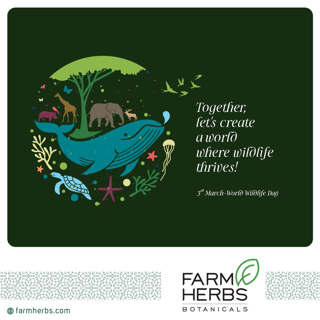 farmherbs100's tweet photo. On this World Wildlife Day, let us remember the importance of preserving wildlife.
#Farmherbs #TheTrueHerbal #BeautyandBabyCare #PlantBasedProducts #TrueNatural #BabyKajal #Sreedhareeyam #Ayurveda #WorldWildlifeDay2023 #WorldWildlifeDay https://t.co/bpR5yQtJMC