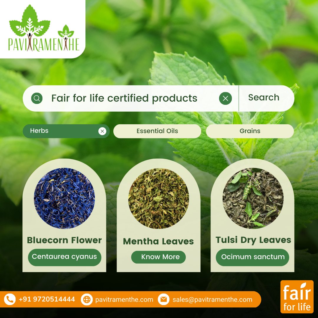 organic_fair's tweet photo. When you buy Pavitramenthe products, you know who is involved in the production and distribution of the product, from farm to production and from production to logistics. 
#pavitramenthe #creationbiotech #organicproducts #menthaleaves #drymenthaleaves #organicmenthaarvensis https://t.co/kFjtC47F8e