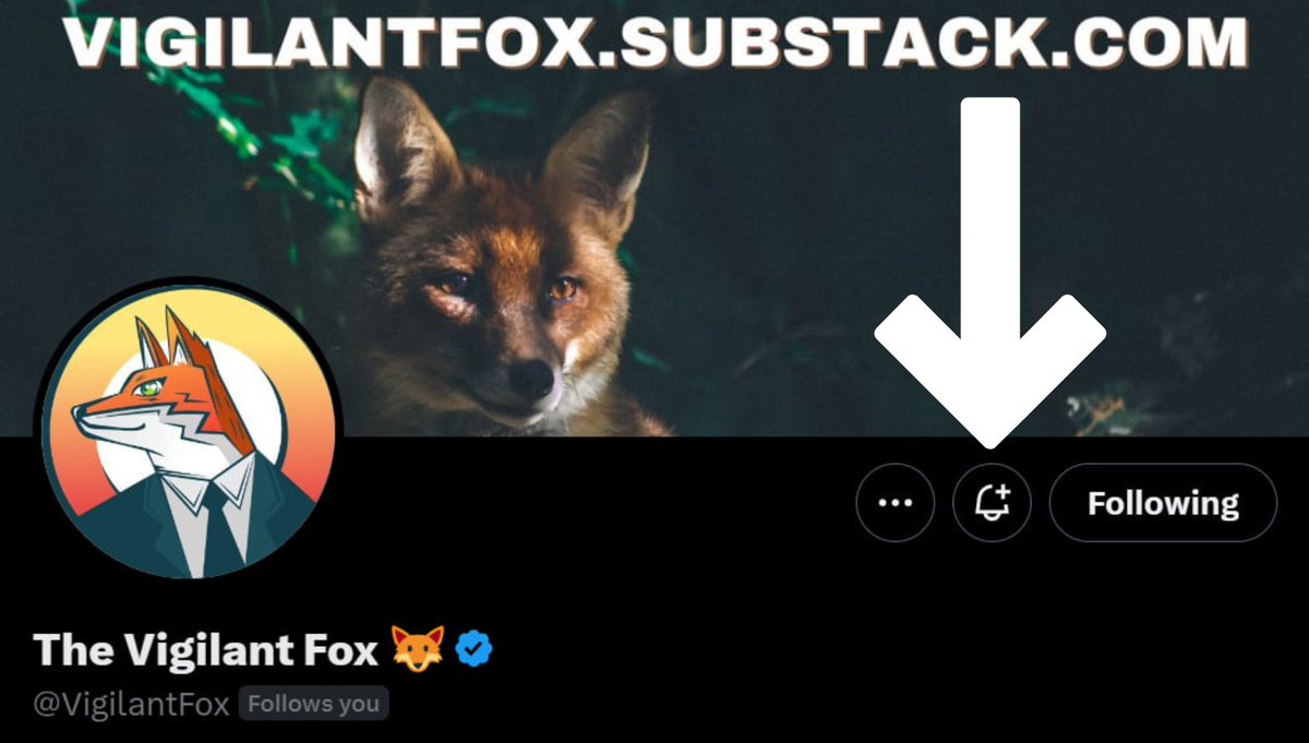 VigilantFox's tweet image. If you appreciate my work and don&apos;t want to miss any posts, consider hitting the bell on my profile page: @VigilantFox.