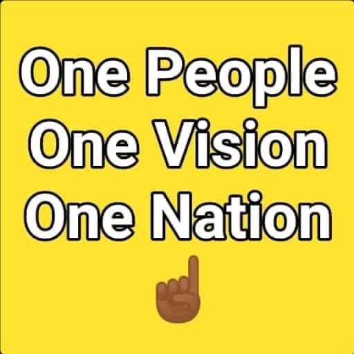 nelson chamisa tweet media