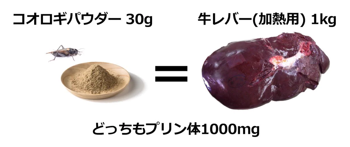 痛風になる⁉昆虫食の代表格のコオロギのプリン体がどえらいことに‼