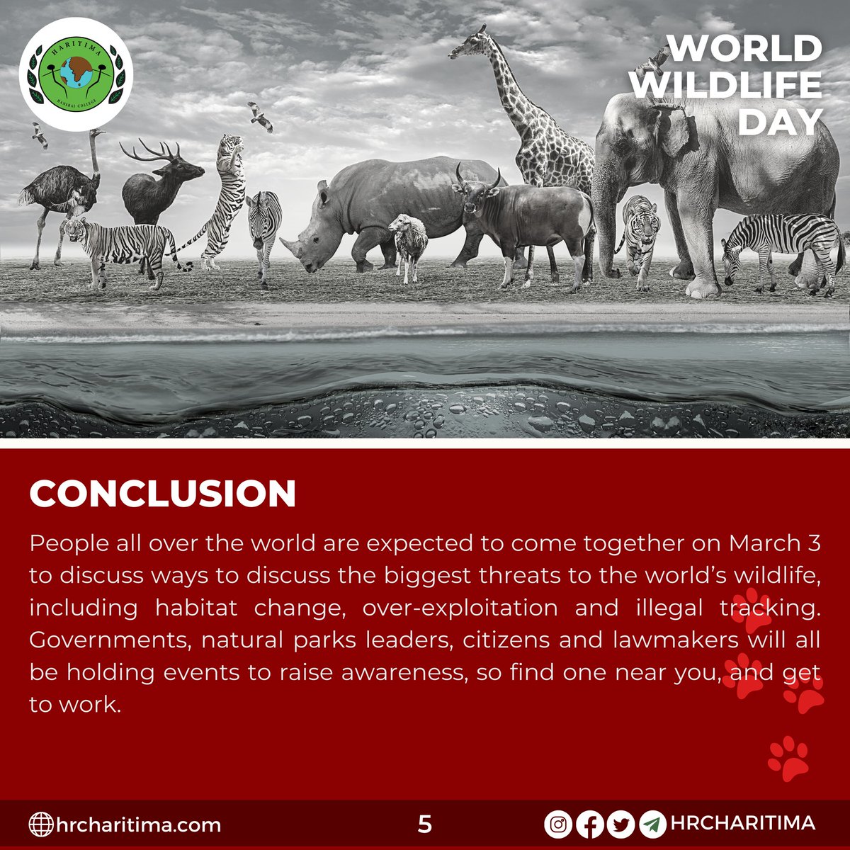 hrcharitima's tweet photo. Greetings from Haritima - the environmental awareness society of Hansraj College!Do you miss the freshness in the air ? 
World Wildlife Day, celebrated each year on 3rd March, is a constant reminder of how human interventions have ravaged our perfectly balanced ecosystem. https://t.co/0wbI95wan0