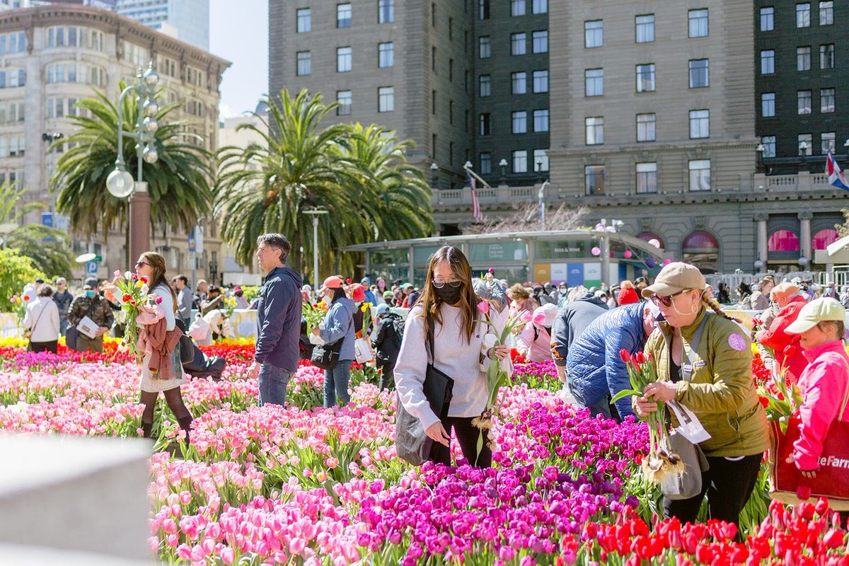 Union Square, SF on Twitter "This Saturday, March 4, 2025, American
