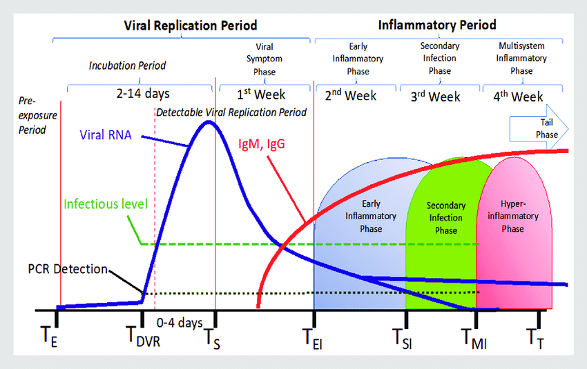 @Jikkyleaks I'm wondering how the vax kept people off ECMO. Maybe immune suppression? 

The time course is here. Those needing ICU would already be past the viral stage (disregarding gut bacteriophage reservoir) and have plenty of IgG abs. They're in hypercytokinemia