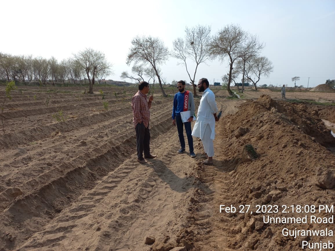 DCGRW's tweet image. Plantation drive at  #LandfillSite Bakhray Wali by Gujranwala @waste_company.

#SpringPlantation
#Gujranwala
#ClimateActionNow 

@CS_Punjab 
@lgcddpunjab 
@CommissionerGu3