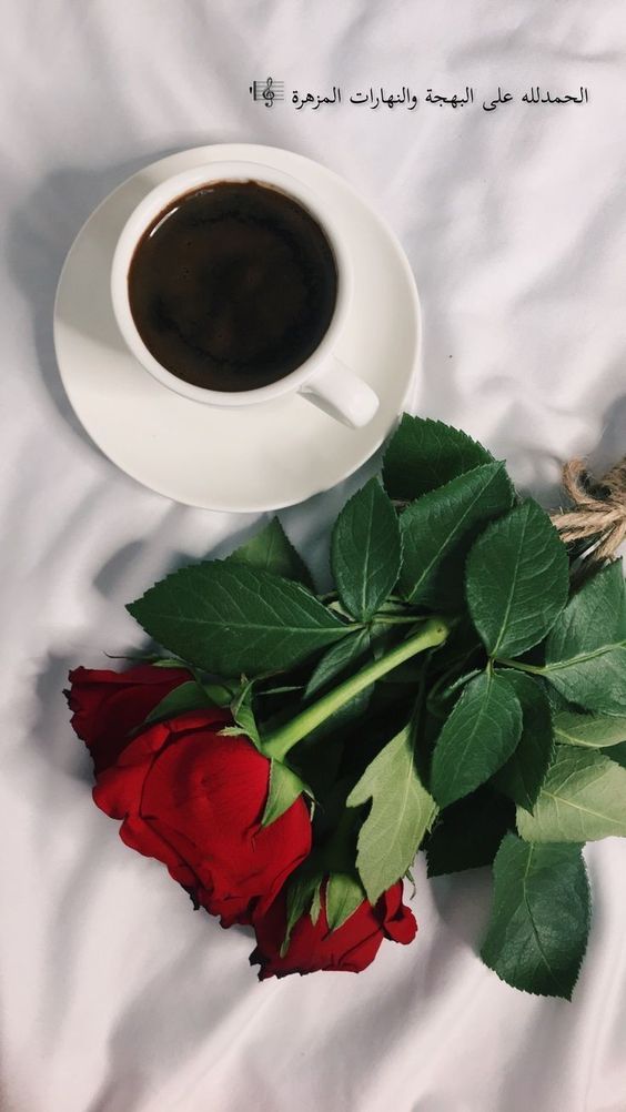 SlSale7's tweet image. «و تظُنُّ أنها النِّهایهٔ ثم يُصلِحُ اللّٰه كلَّ‌  شیء.» 
#صباح_الخير ❤🫶