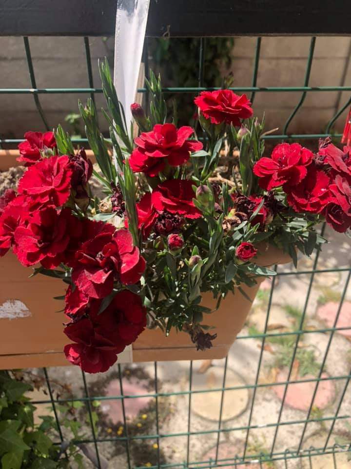 Tekirdağ bölgesi kimler burada