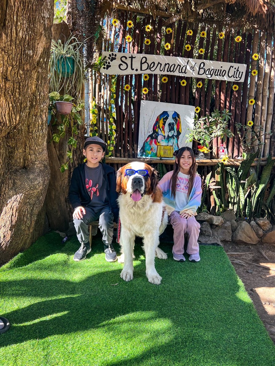 MomDutyBlog's tweet photo. We LOVE YOU Baguio, Philippines!🇵🇭If you haven’t seen our Baguio Playlist, WATCH HERE➡️ https://t.co/2YzYy0Jizv https://t.co/hpUdoEJAih