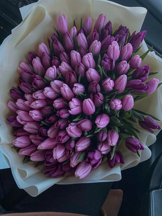 Serendipity tweet media