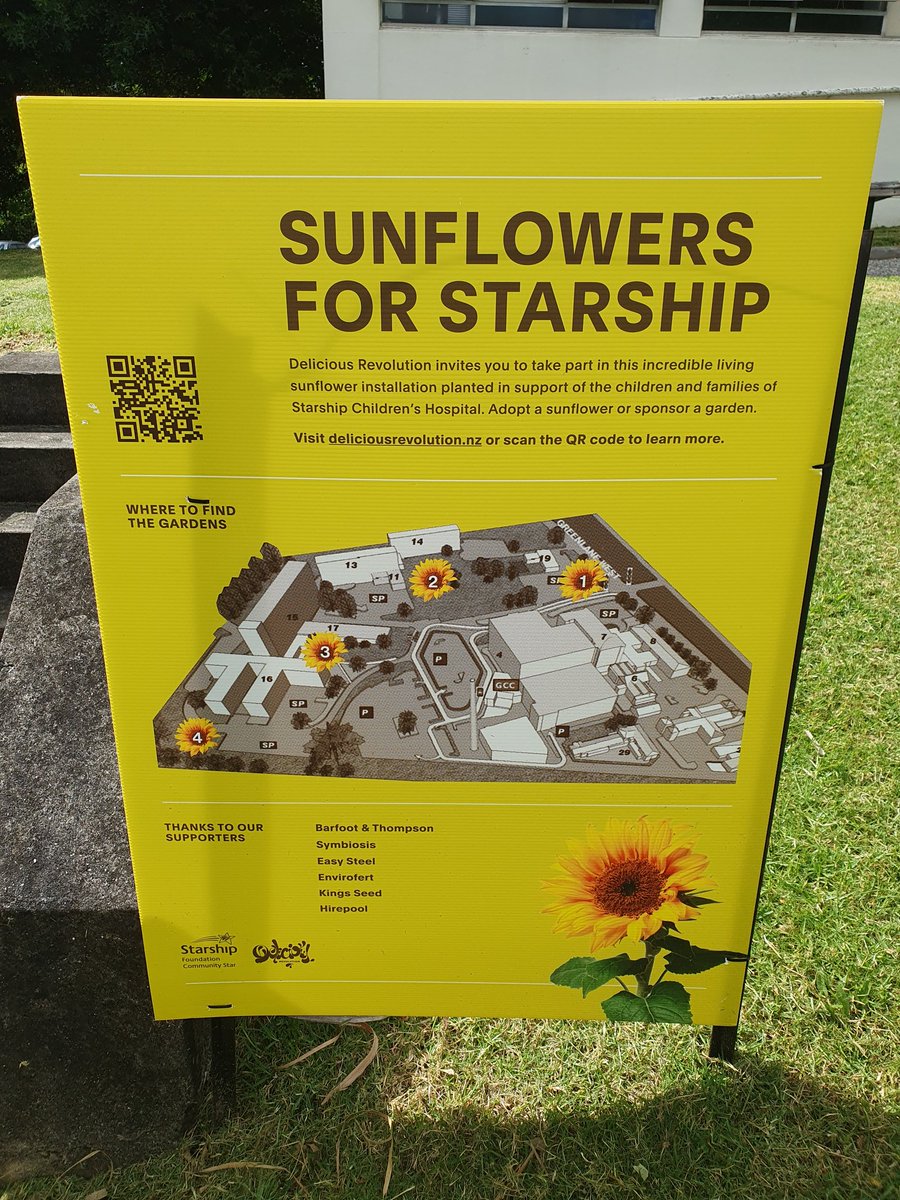 GAP_Physio's tweet photo. Such a special installation at @TeTokaTumai! #SunflowersForStarship doesn't fail to put a smile on my face when I pass by. Have heard the same from so many staff and others that I meet there enjoying the sunny view 🌻🌻🌻🌻🌻 https://t.co/NAsZKqcovv