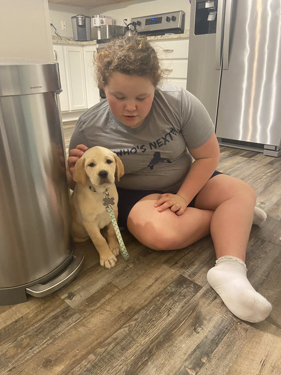 beth_for_judge's tweet image. Welcome to the family Queso (we are keeping her rescue name—of course because Chef Emma 🤣)#newpuppylove #pawfectmatch