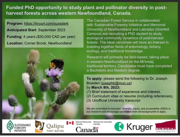 AReshchikov's tweet photo. PhD position https://t.co/PCeTD4sg55