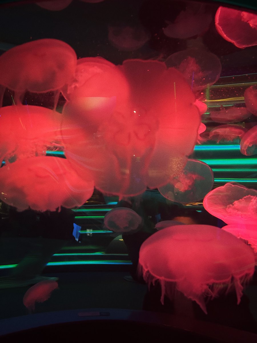 Bee-Toe 🤠 tweet media