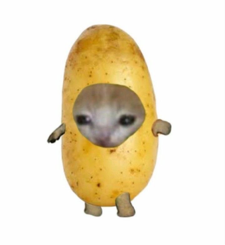 _mio_me_'s tweet photo. Почему никто не смеётся, когда я скидываю это фото с подписью: «Это ты, если бы родился в Белоруссии»:(((((((( https://t.co/QMgm7opRV8
