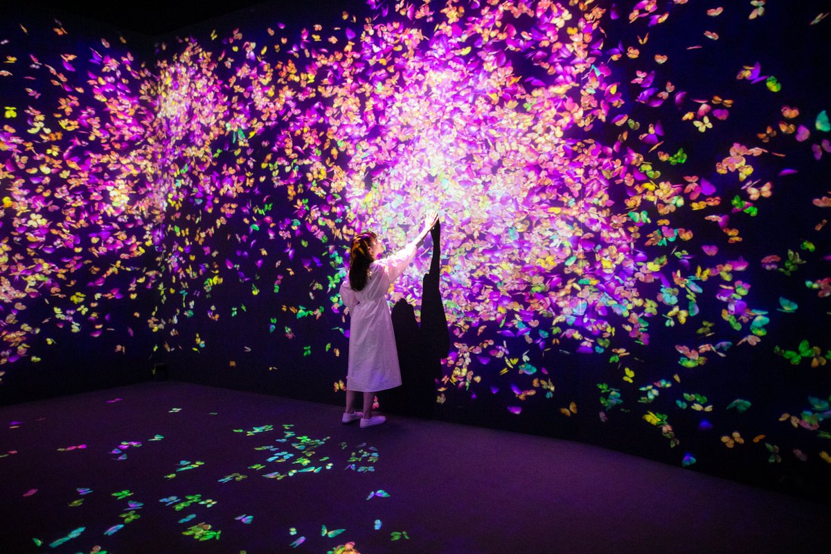 teamLab on Twitter "“teamLab Forest Fukuoka” teamLab Forest is a new