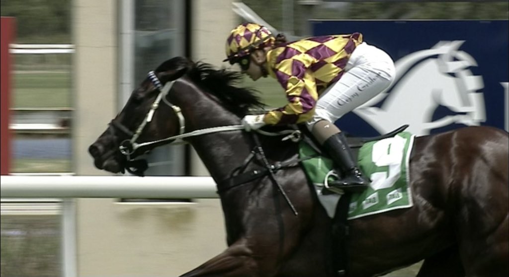 NOELM_SMITH's tweet photo. A strong win by Iamrustyparker (#iaminvincible x My Cover Girl) @coffs_racing yesterday, and a perfect ride by @cejay_graham 🏇💨 Congratulations 🎉🥂to Mr Tosh Murphy 🏆 
#ichoiseprydes
#poweredbyprydes
#inglissales
#iaminvincible 
#horseracing 
#etrakka #getheedge https://t.co/KwlB7gbPk1