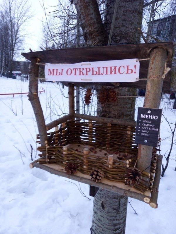 FlegerCook's tweet image. "Закусочная" для птиц 🐦