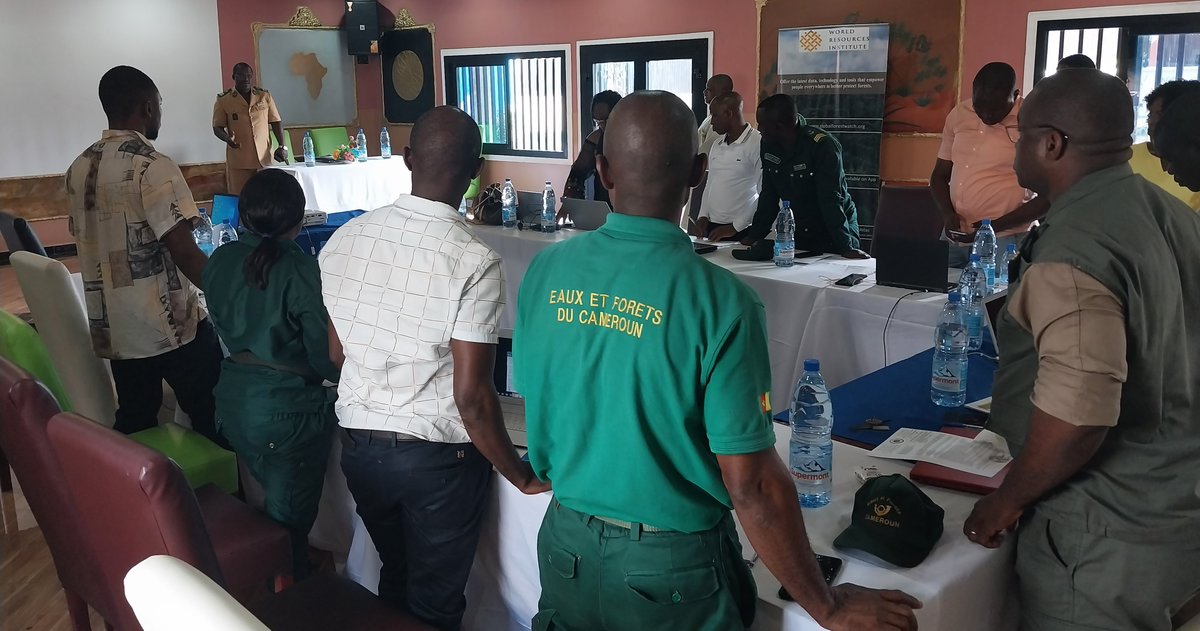 In #Cameroon's Ouesso-Sangmélima corridor, @WRIafrica held trainings for customs officers on the Forest Atlas, #OpenTimberPortal, SIGIF2 and @CITES to support the detection of #IllegalLogging and the trade of #CITES species.
