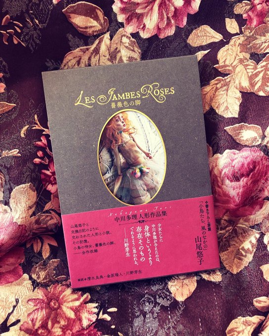 本が届いた。今日はいい日だ。中川多理さんの人形作品集「薔薇色の脚」ステュディオ・パラボリカ発行山尾悠子さんの小説のキャラ