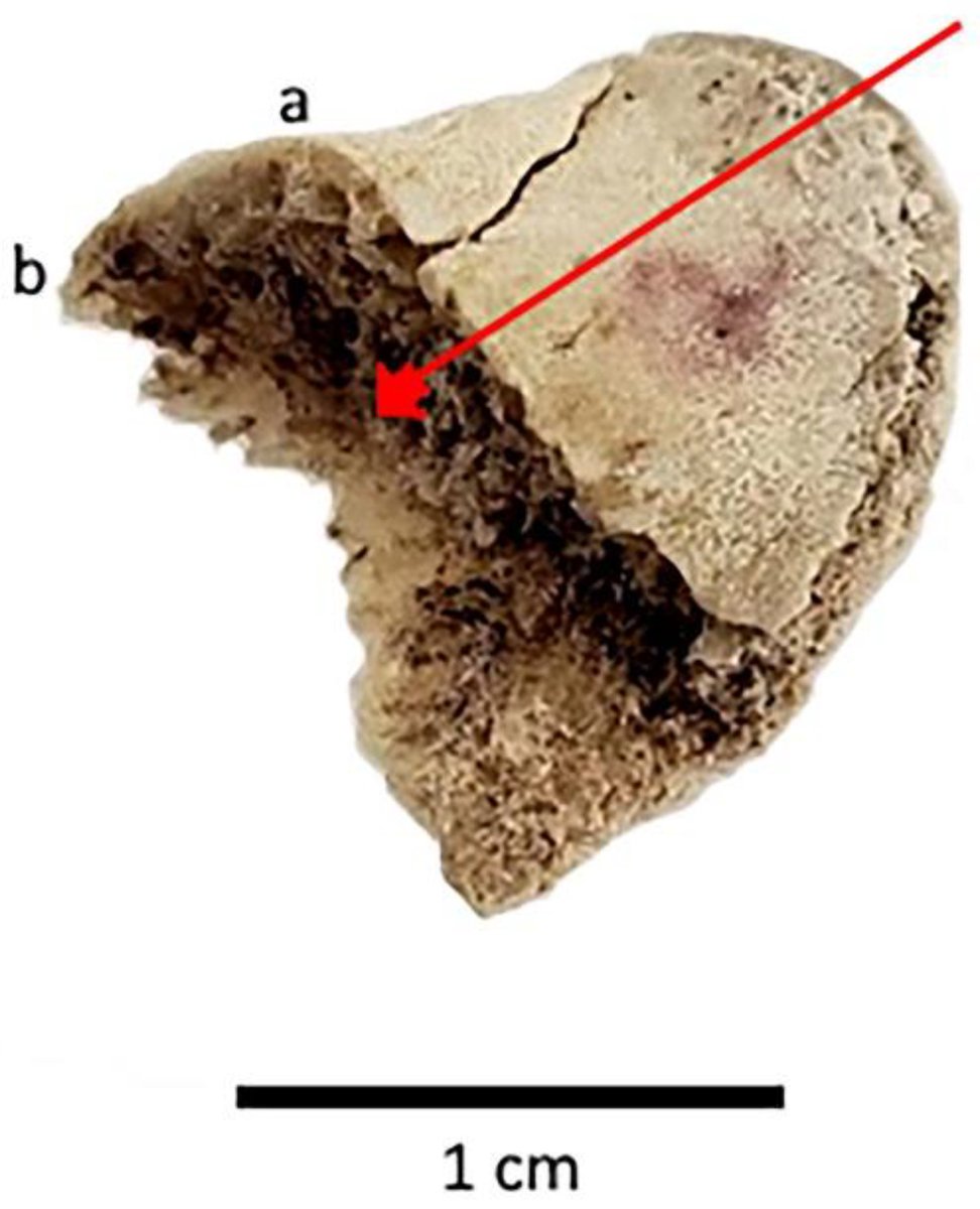 Quaternary_MDPI tweet picture