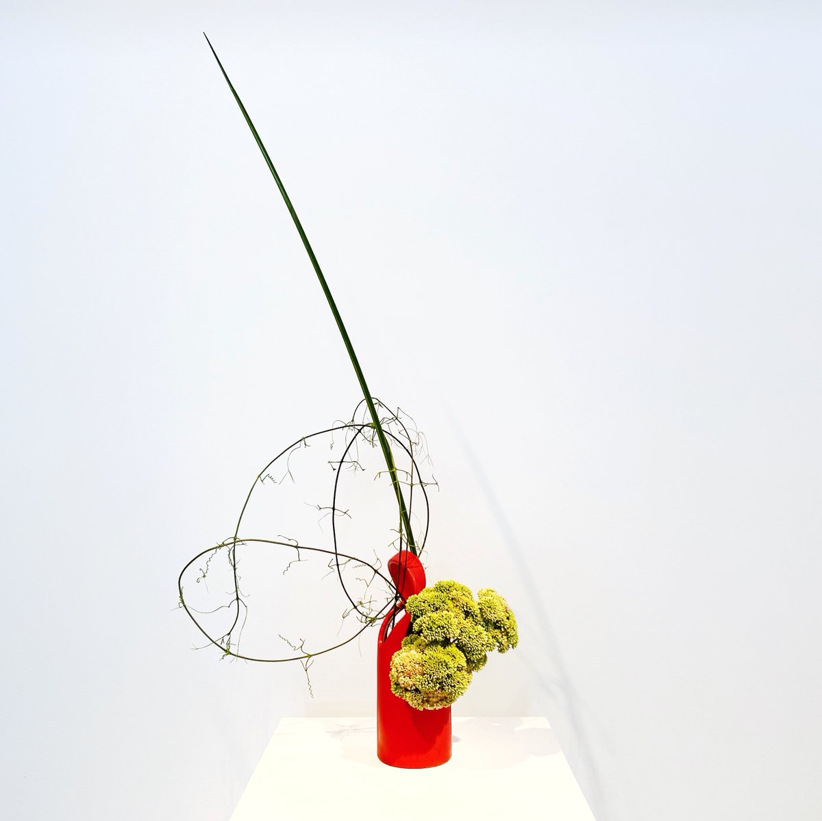 Janet Killoran's delicate ikebana arrangement uses sedum, honeysuckle vine and palm frond. View it at GOMA this weekend 🍂〰️🍃

The Gallery is open 10.00am – 5.00pm daily. 

#IkebanaFriday #MuseumBouquet #QAGOMA