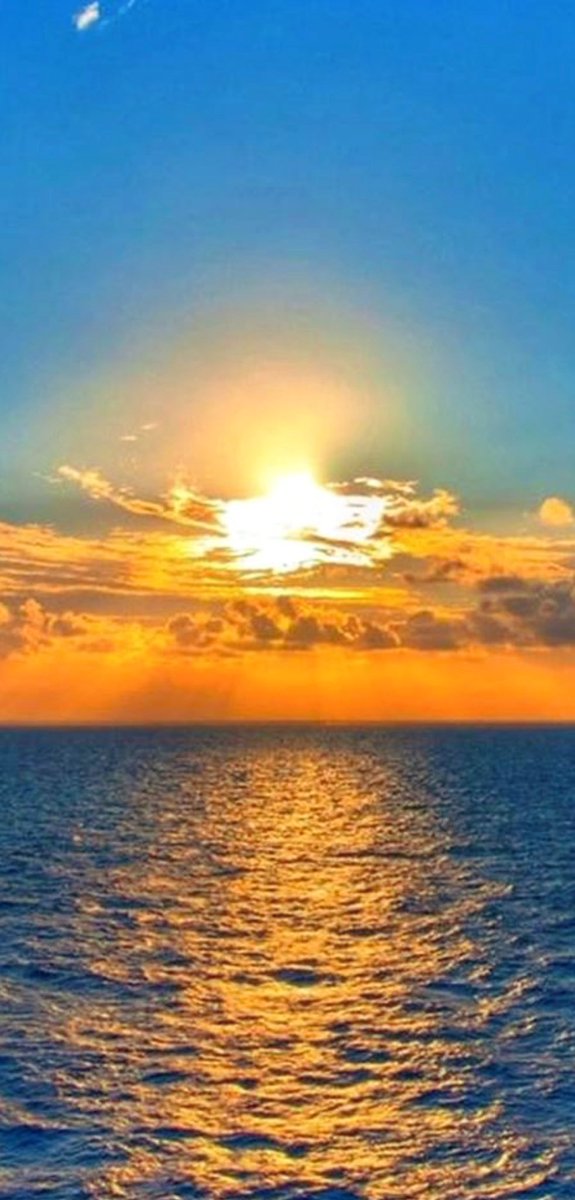 Mia31370841's tweet photo. Have a nice Friday.
Good morning  𖣊🧡𖣊 https://t.co/u9rWv1bc7M