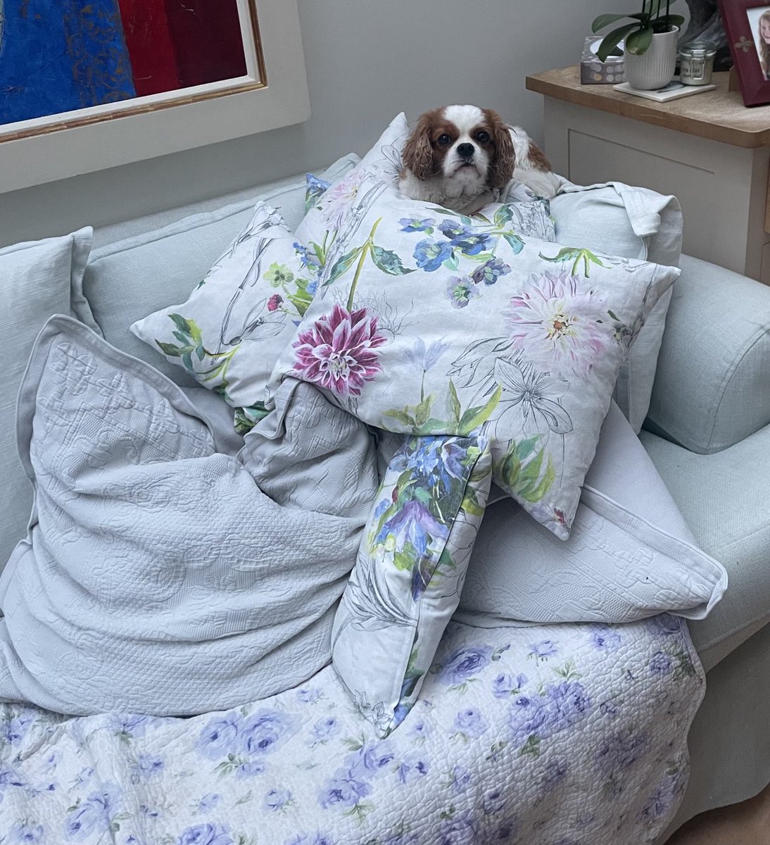 A new personal best for Skye in the new Olympic sport of cushion piling 🥇