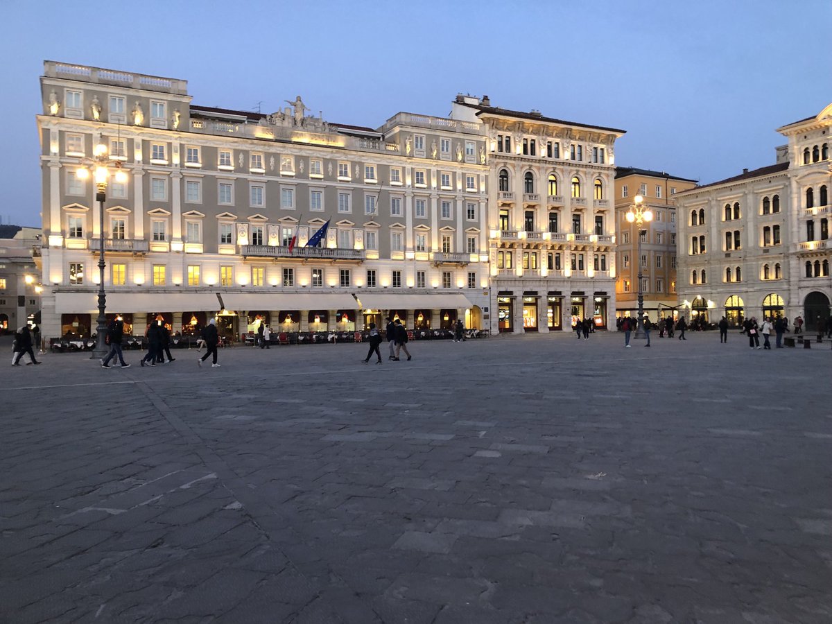 Remo Nogarotto tweet media