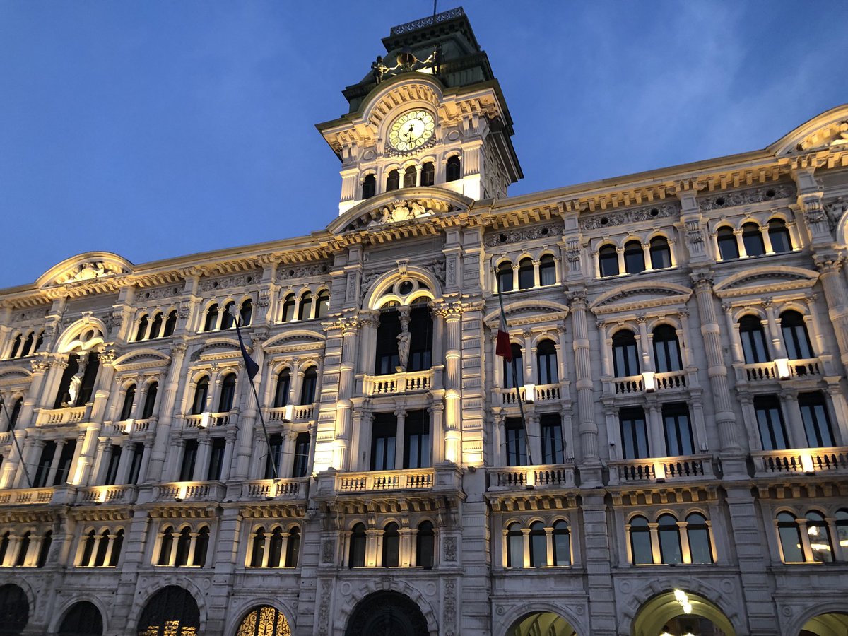 Remo Nogarotto tweet media