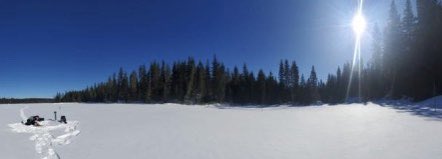 FirstClassMetal's tweet photo. 𝐍𝐨𝐫𝐭𝐡 𝐇𝐞𝐦𝐥𝐨 𝐖𝐢𝐧𝐭𝐞𝐫 𝐂𝐚𝐦𝐩𝐚𝐢𝐠𝐧
#FCM #gold #metals #Ontario #moly

Sometimes when you are focussed ‘below ground’ you have to stop and look at the vista above

A stunning day in the Hemlo area with more lake sediments taken

We don’t stop at @FirstClassMetal https://t.co/iBZhTGKDV7