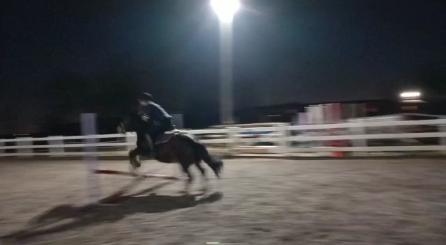 KjbPony's tweet photo. Am working at the stables today and it's going to be a long day after a late night ride for the boys. Pony is 10 next month! Boy is 14 on Monday! Here are some action shots:  #ponyhour #jumpyjump #jumping #happyears #pivo #horsetracker #irishcob https://t.co/vQ53iNvsH6