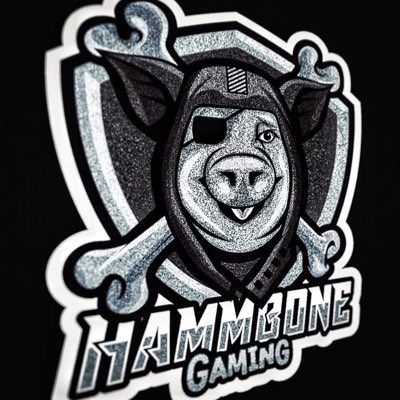 Hammbone Gaming tweet media