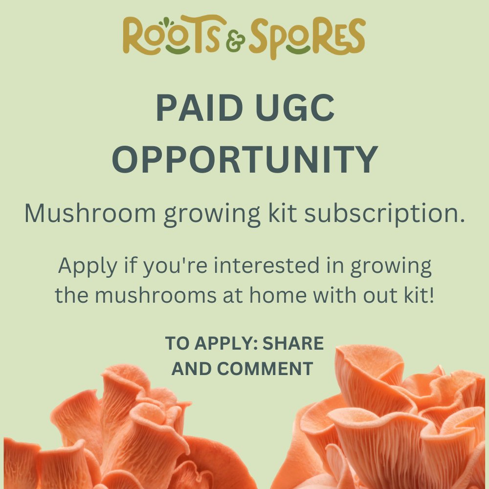 PAID #UGC FOR MUSHROOM LOVERS 🫒

For all the eco-friendly, plant-based enthusiasts out there - let's work together! 🎥

Share and comment on this post to apply! 
#ugccreatorsneeded #ugccommunity  #UGCcreators #ugcopportunity #UGCneeded #tiktokcreators #TikTok