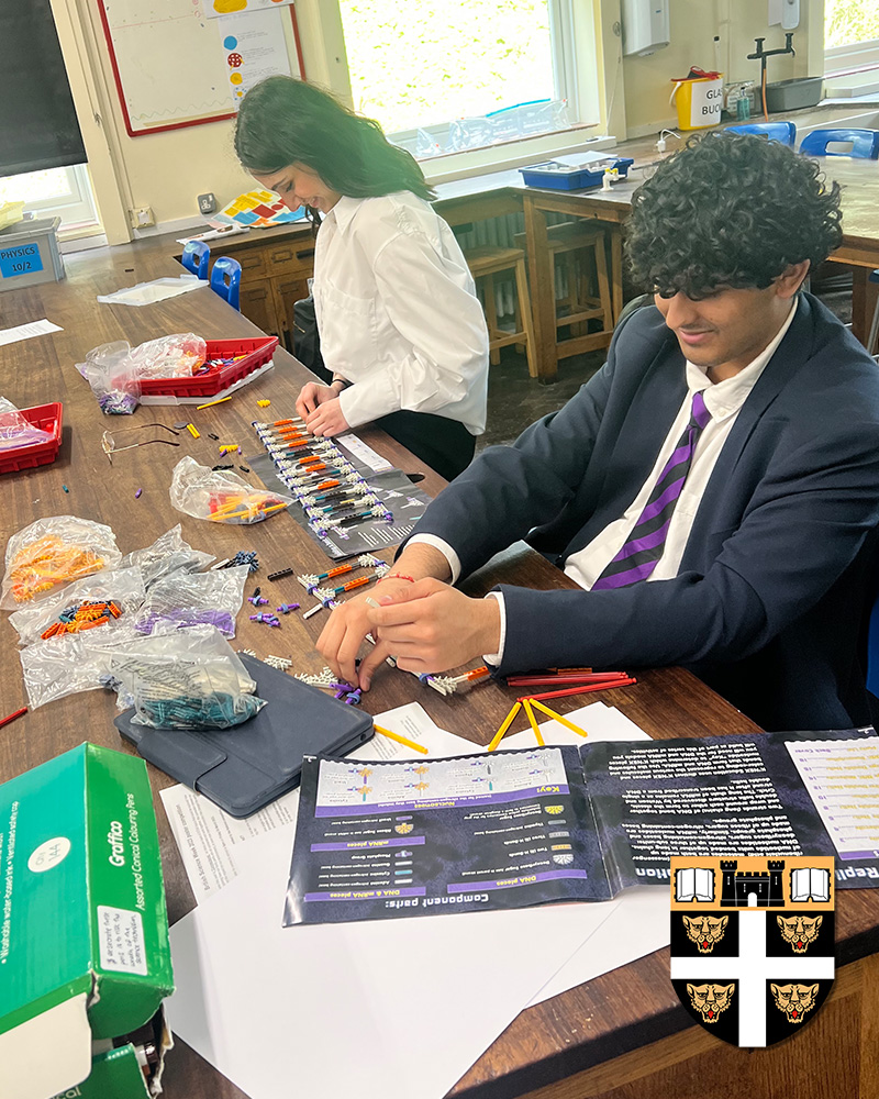 DoverCollege's tweet image. Here are Lower Sixth Biology A Level pupils using K&apos;NEX to build a DNA molecule.
#STEM #LearningThroughDoing