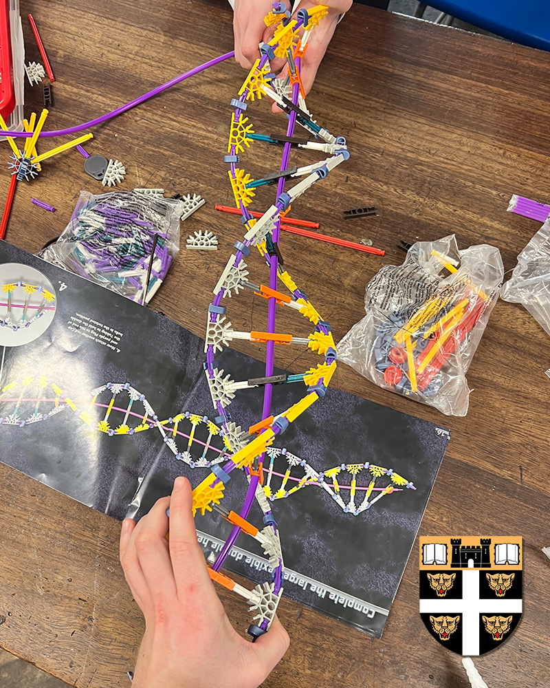DoverCollege's tweet image. Here are Lower Sixth Biology A Level pupils using K&apos;NEX to build a DNA molecule.
#STEM #LearningThroughDoing