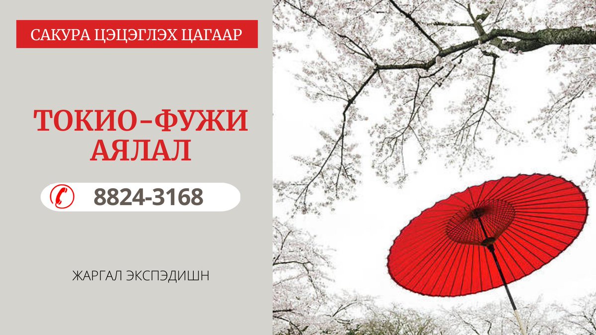 Сакура цэцэглэх цагаар Япон улсын Токио, Фужи маршрутаар ээлжит аялалаа зохион байгуулах гэж байгаа тул та яаралтай бүртгүүлээрэй. 
Жаргал Экспэдишн.
Харилцах утас: 8824-3168