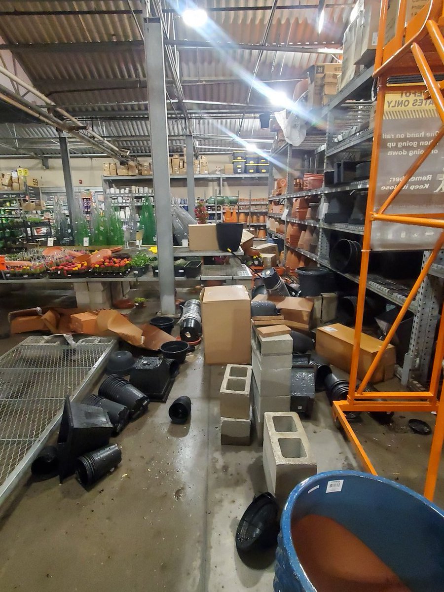 Tyla Vanderhorst tweet media