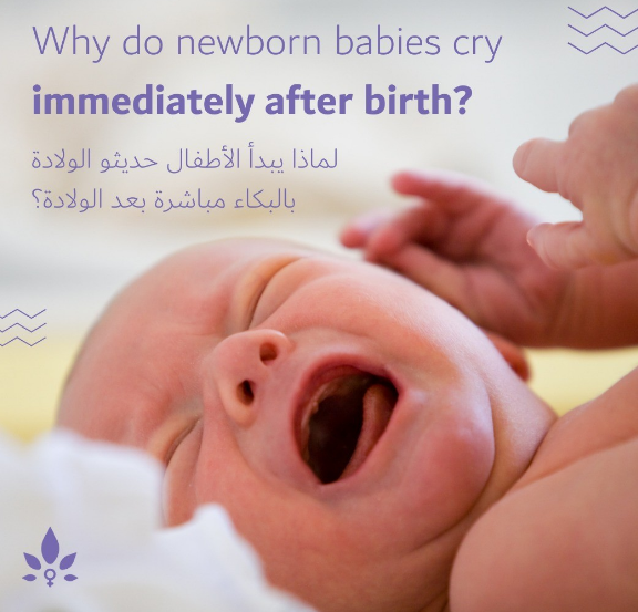 NabtaHealth's tweet photo. Interesting right? Want to know more information regarding newborns? 
Get yourself our New Mum Membership and get to understand more.💙😀
ممتع أليس كذلك؟ هل تريد معرفة المزيد من المعلومات حول الأطفال حديثي الولادة؟
احصل على عضويتنا الجديدة للأم وافهم المزيد.💙😀 https://t.co/e591T7qV04