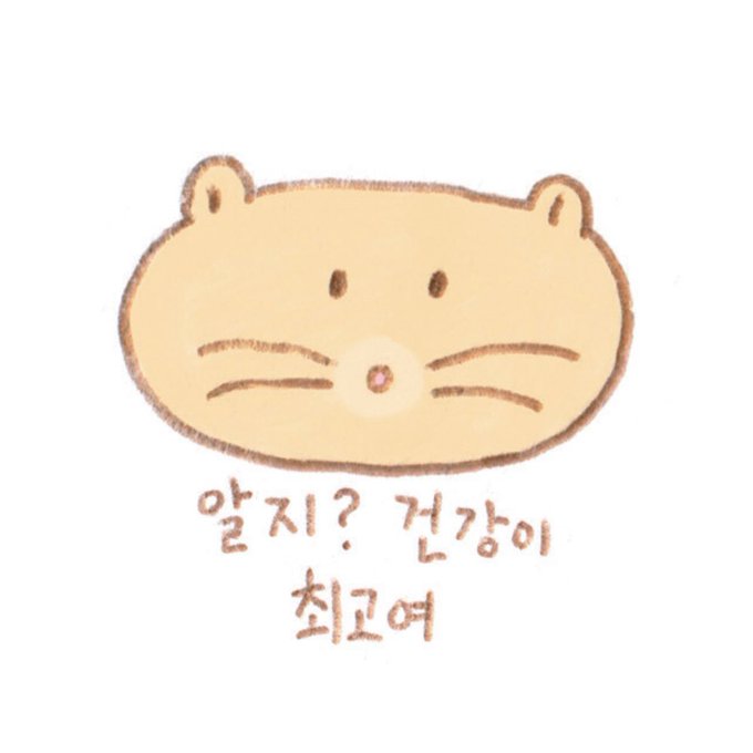 건강엔 정권지르기🥊🥊💥💥 