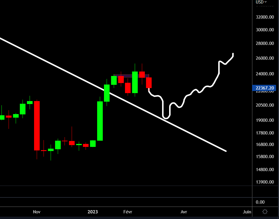Le pullback en weekly sur la longue trend baissière que l'on a cassé en janvier, ce serait parfait pour une belle structure ✅

Mais ça voudrait dire que l'on irait combler le gap de rupture au 20K$ !

Vous en pensez quoi ?