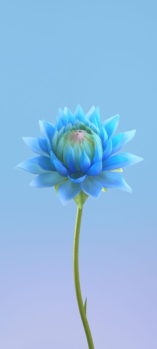 Diptish Ray tweet media